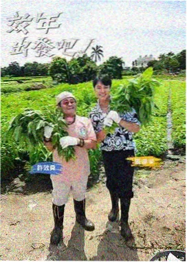 名媛规则缩略图